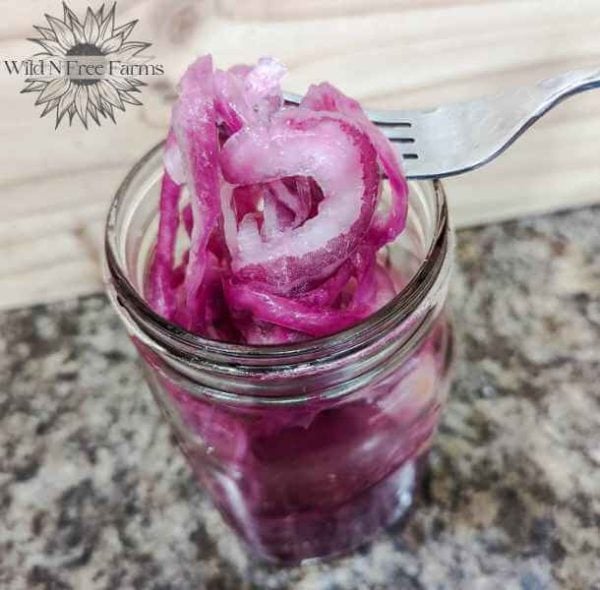 Health Benefits Of Onions & 5 Ways To Use Them!