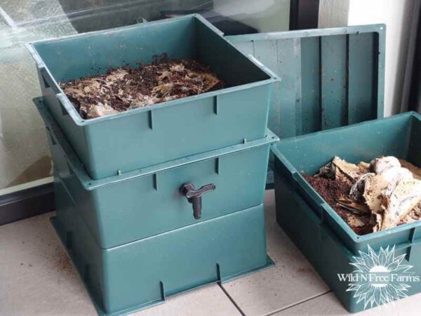 What Type of Bin is Best for Vermicomposting