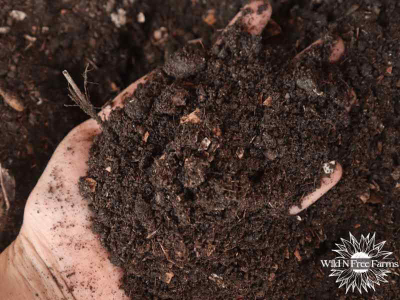 small scale vermiculture