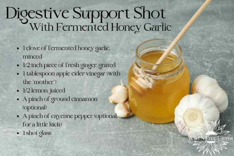 Fermented Garlic Honey Uses For Culinary and Medicinal Wonders