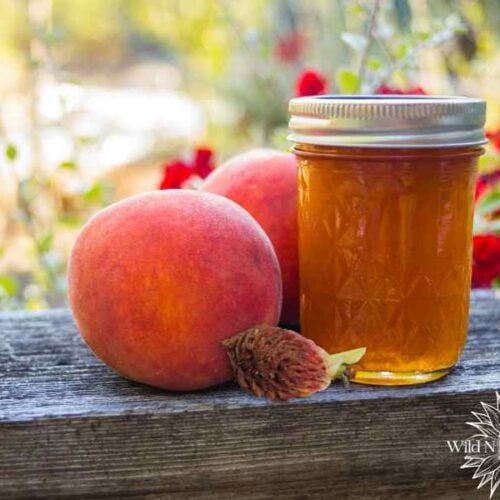 peach peel and pit jelly