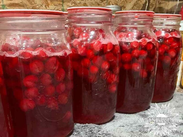 Canning Homemade Cranberry Juice A Holiday Tradition To Savor