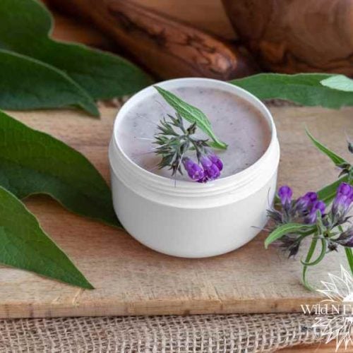 homemade comfrey salve