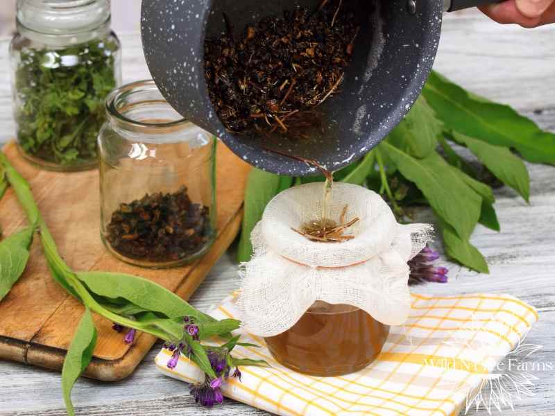 making comfrey salve