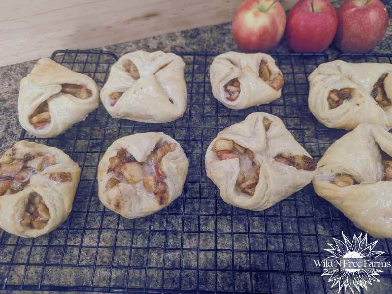 sourdough pastry crust