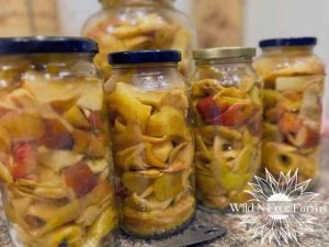 apple cider vinegar make your own