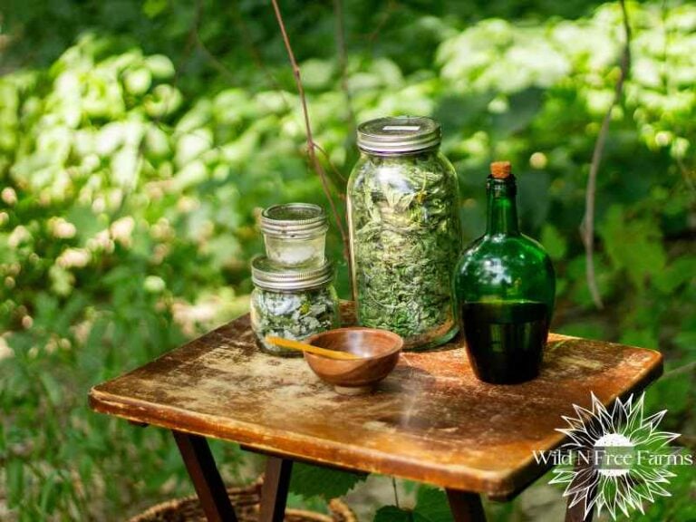 lemon balm tincture recipe