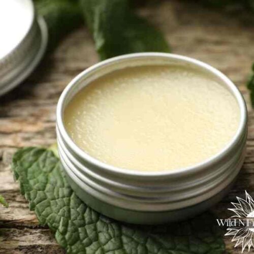 natural cold sore treatment