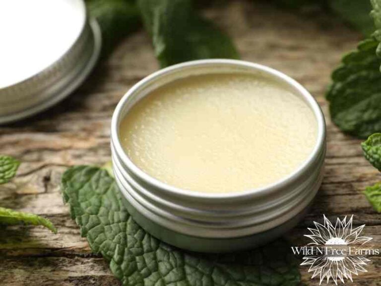 natural cold sore treatment