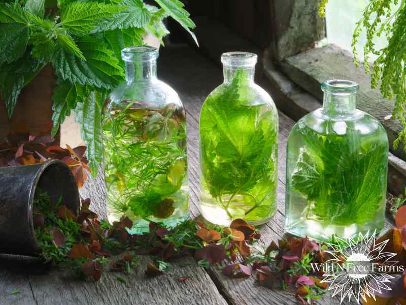 oral lemon balm spray