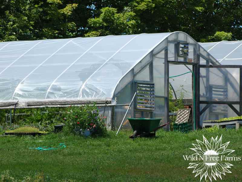 how to extend growing season with hoop house (2)