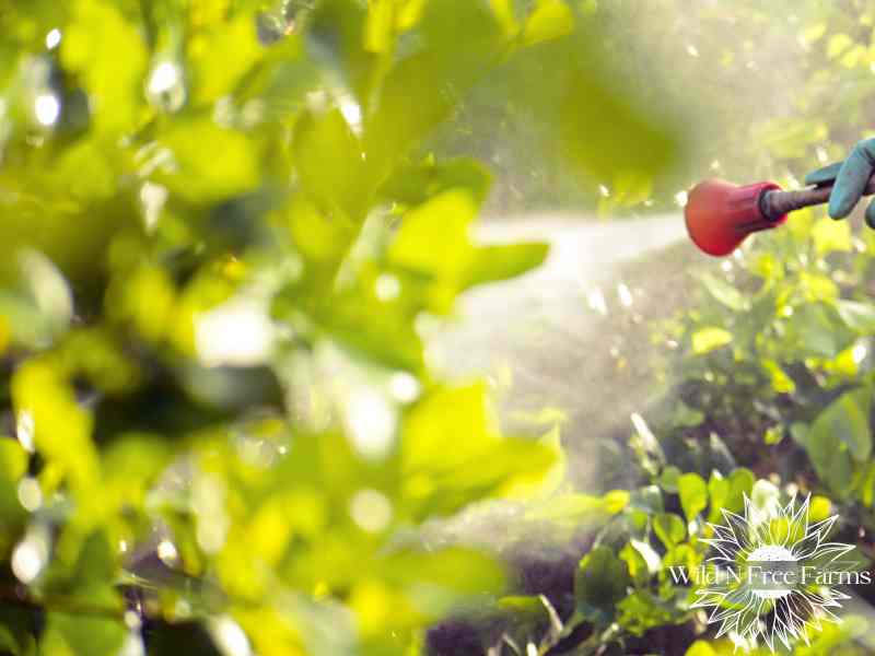 organic apple disease control,