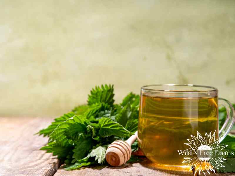 DIY natural remedies for sore throat and cough