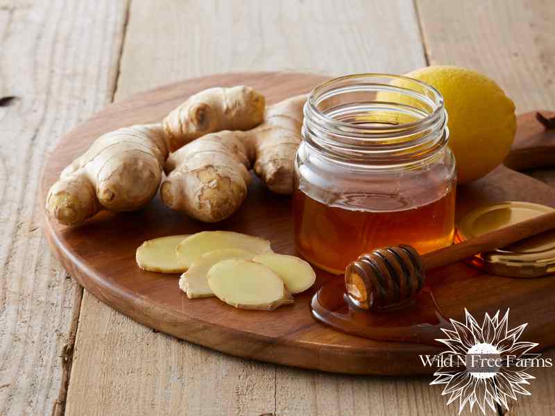 easy herbal remedies