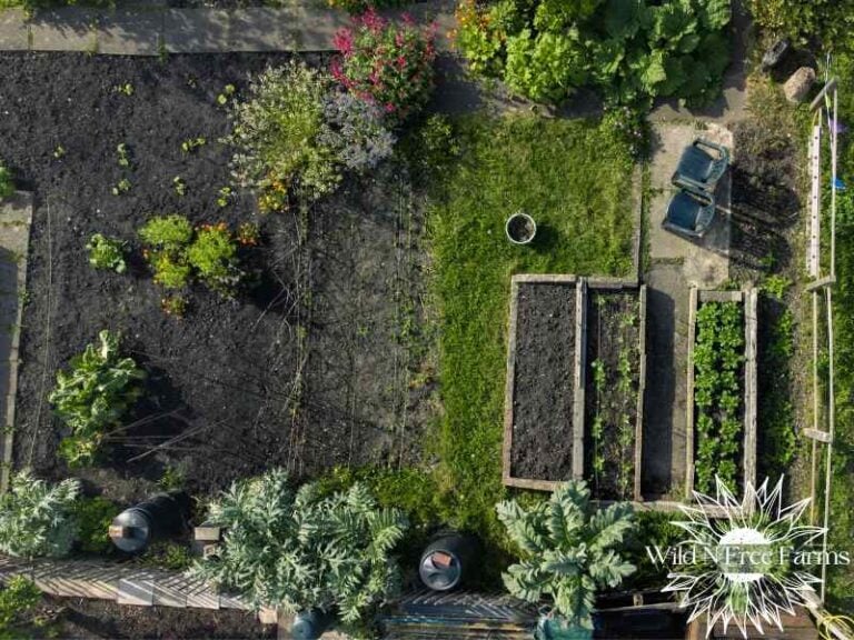 Beginner garden planning for families