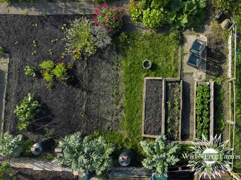 Beginner garden planning for families