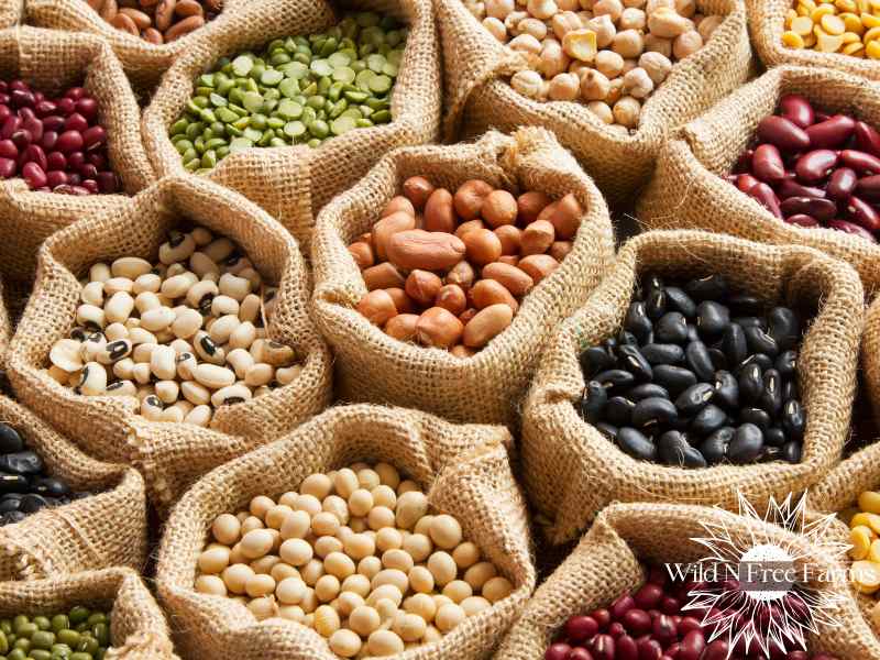 self-reliant gardening