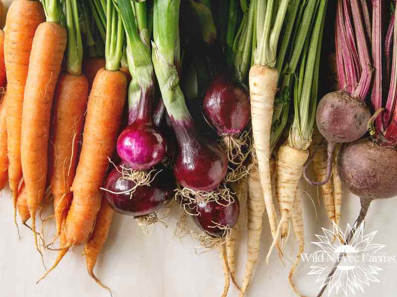 best vegetables for root cellar storage