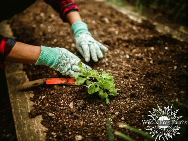 year round gardening