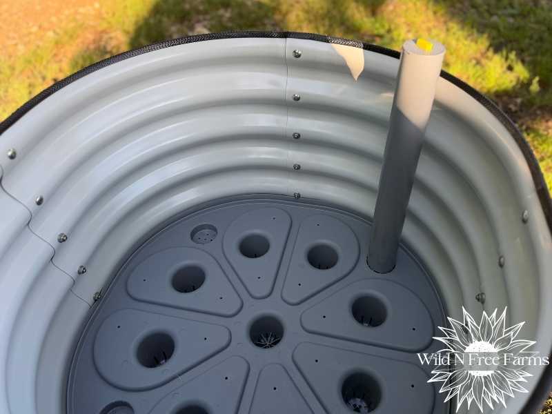 best planter for growing citrus trees