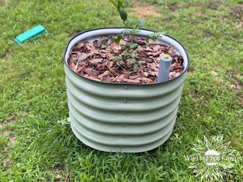 patio planter